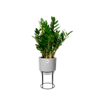 b.for studio rond 22cm living concrete